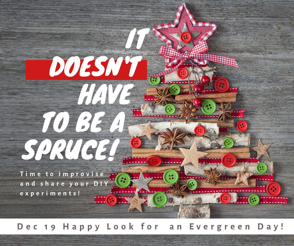 HostingRocket's tweet photo. 🎄
*
#6DaysTillChristmas #Spruce #ChristmasTree https://t.co/do7SHxdINx