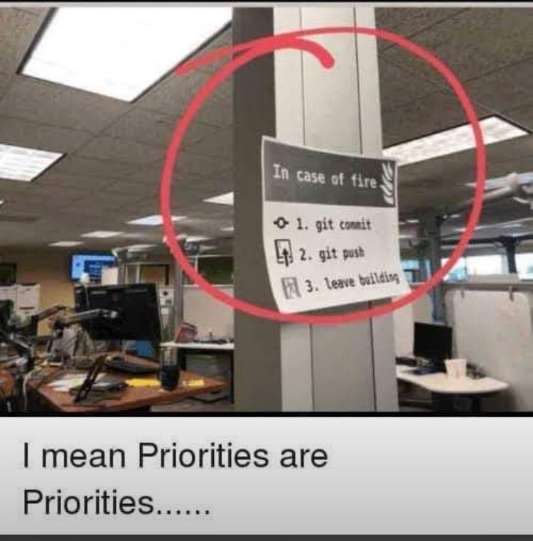dagnytaggart_v1's tweet image. Yep priorities.. #developerslife #committedforlife