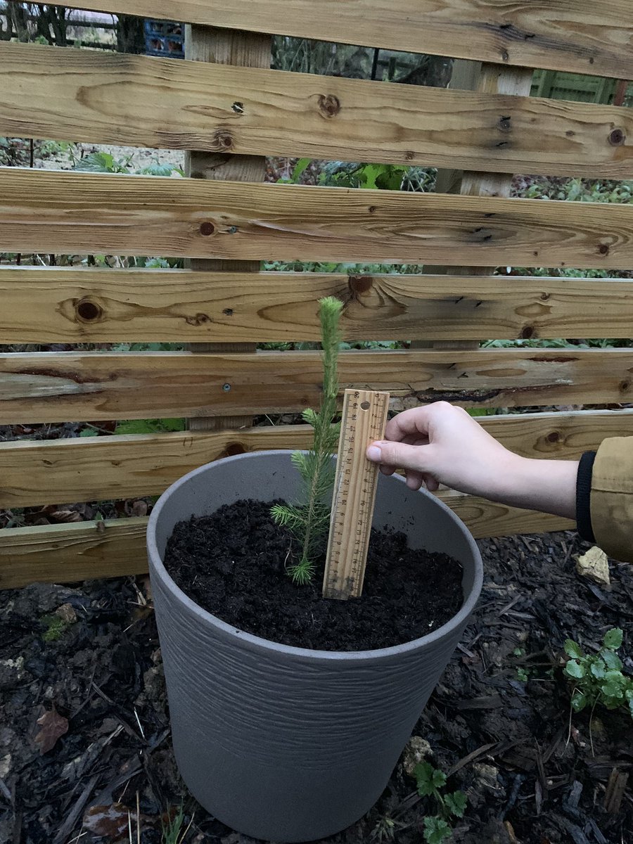 Friends of Bramham School tweet media