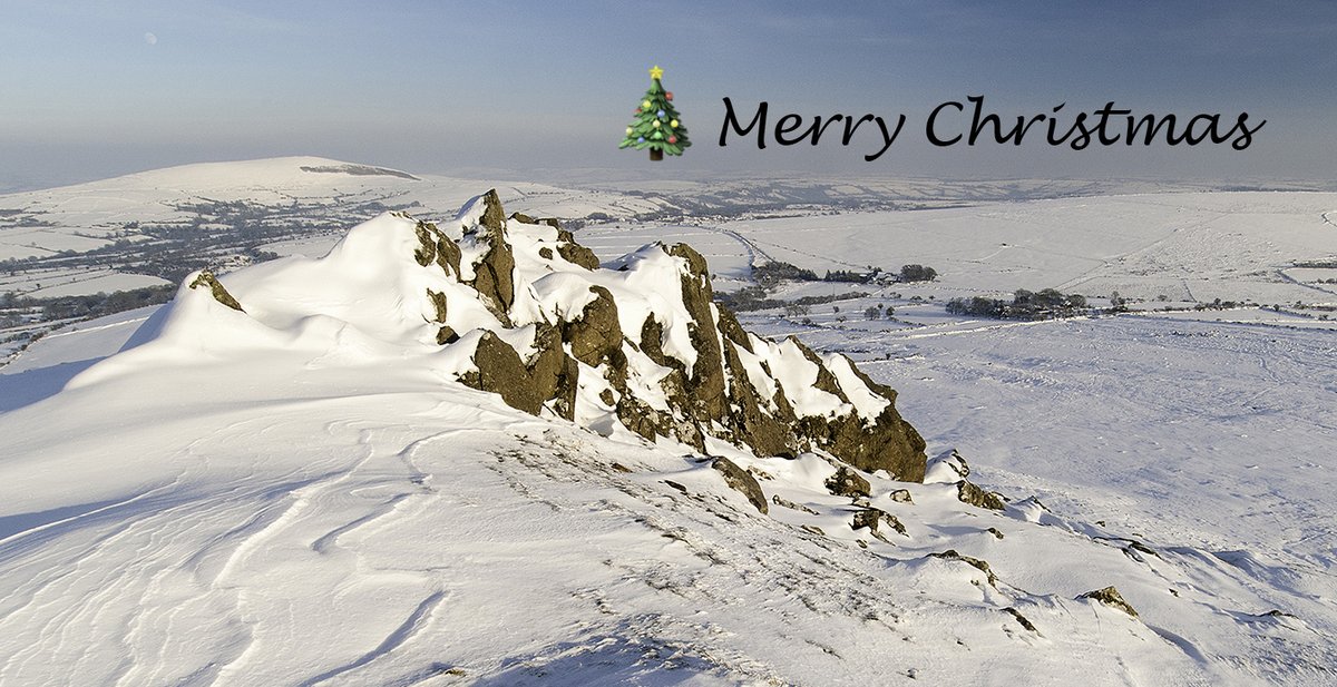 Merry Christmas from all at <a href="/BioSolEcology/">BioSol Ecology</a>