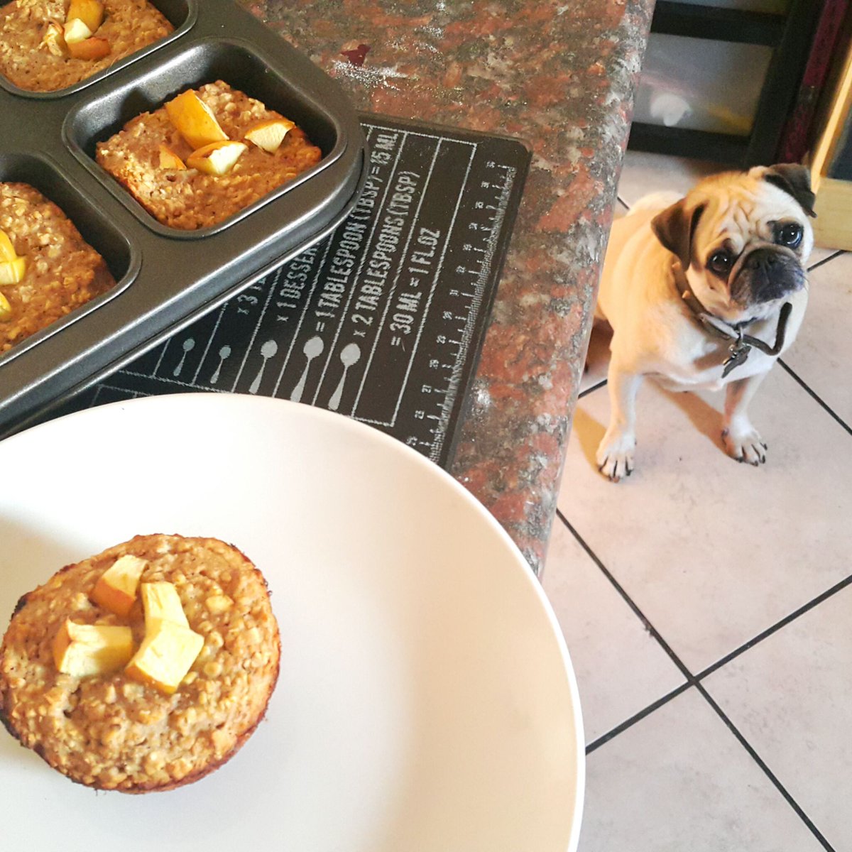 Boozy_Foodie's tweet photo. #OatmealMuffinDay! Wow, this is a #ThrowbackThursday indeed! I shared this recipe more than 4 years ago! #LifeIsTooShortToEatLettuce #APreviousLife #HealthyOptions
https://t.co/oFQER89itb https://t.co/Ykhw7VbfGJ