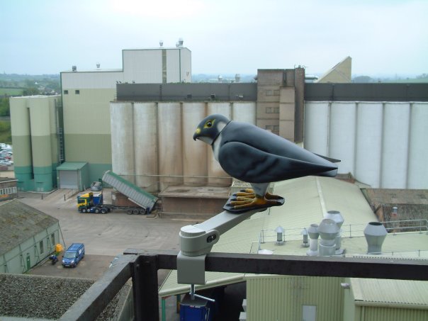 Robop_Ltd's tweet photo. Are pest #birds plaguing your #manufacturing facilities? Get them under control with Robop’s commercial R:Falcon bird #deterrent. R:Falcon prevents &amp; deters pest birds from nesting &amp; roosting. Curious? 

Learn more here: https://t.co/a70t5w4Fky https://t.co/QqG7stV2Nz