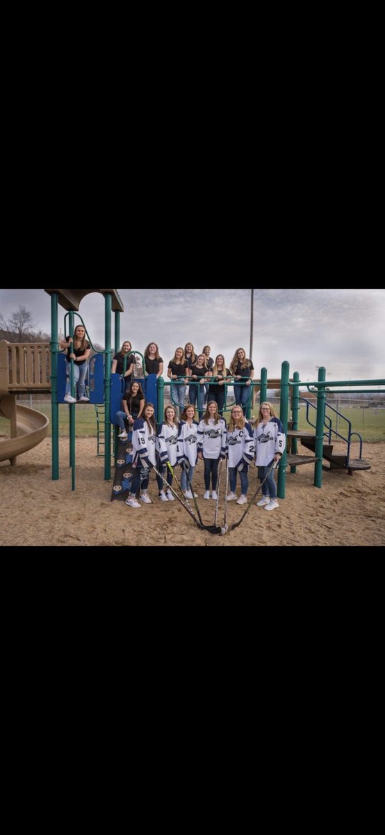 Badger Lightning Girls HS Hockey tweet media