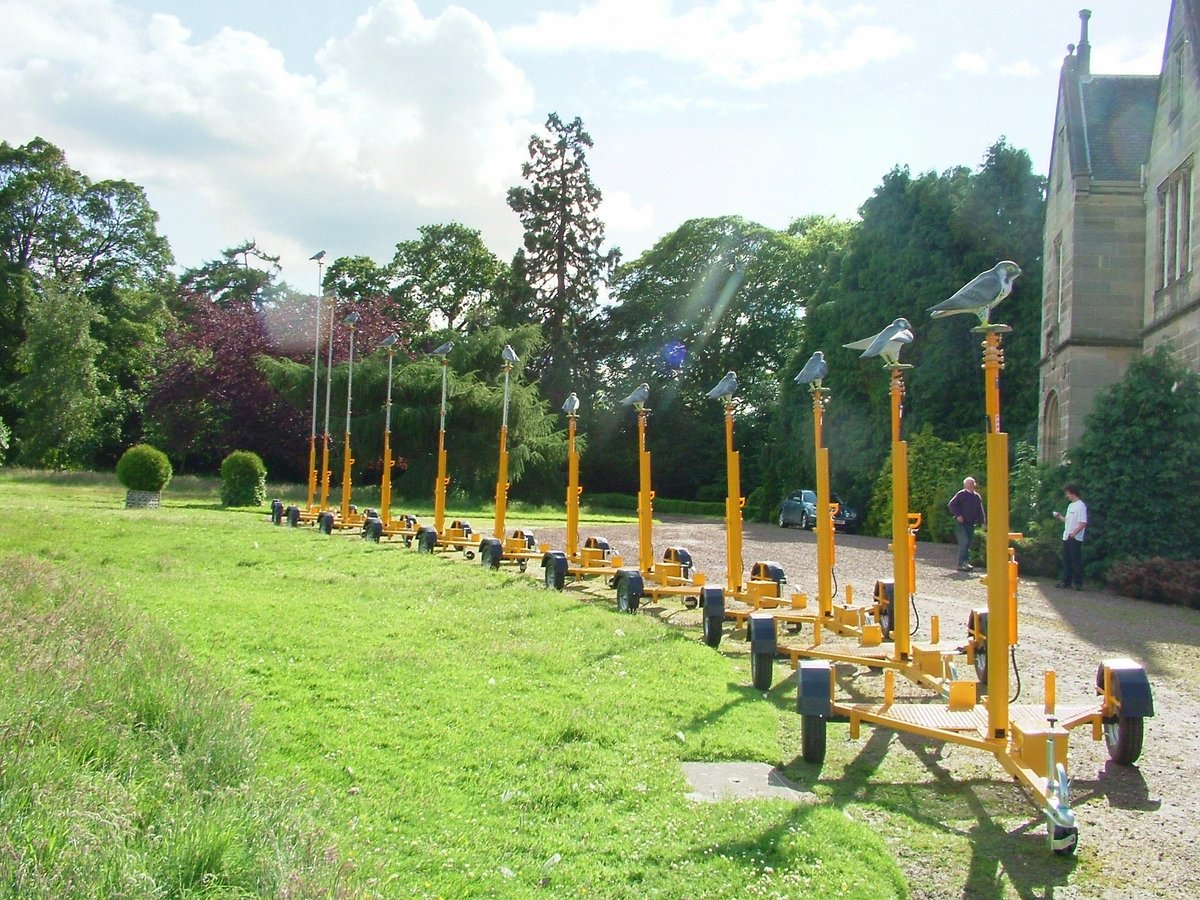 Robop_Ltd's tweet photo. Watch out pest #birds - it’s an army of Robop’s, here to defend the roofs &amp; properties of #businesses across the world! No more damages, flooding or expensive messes.

Learn More: https://t.co/a70t5vN4t0 https://t.co/AXYl7pNaAk