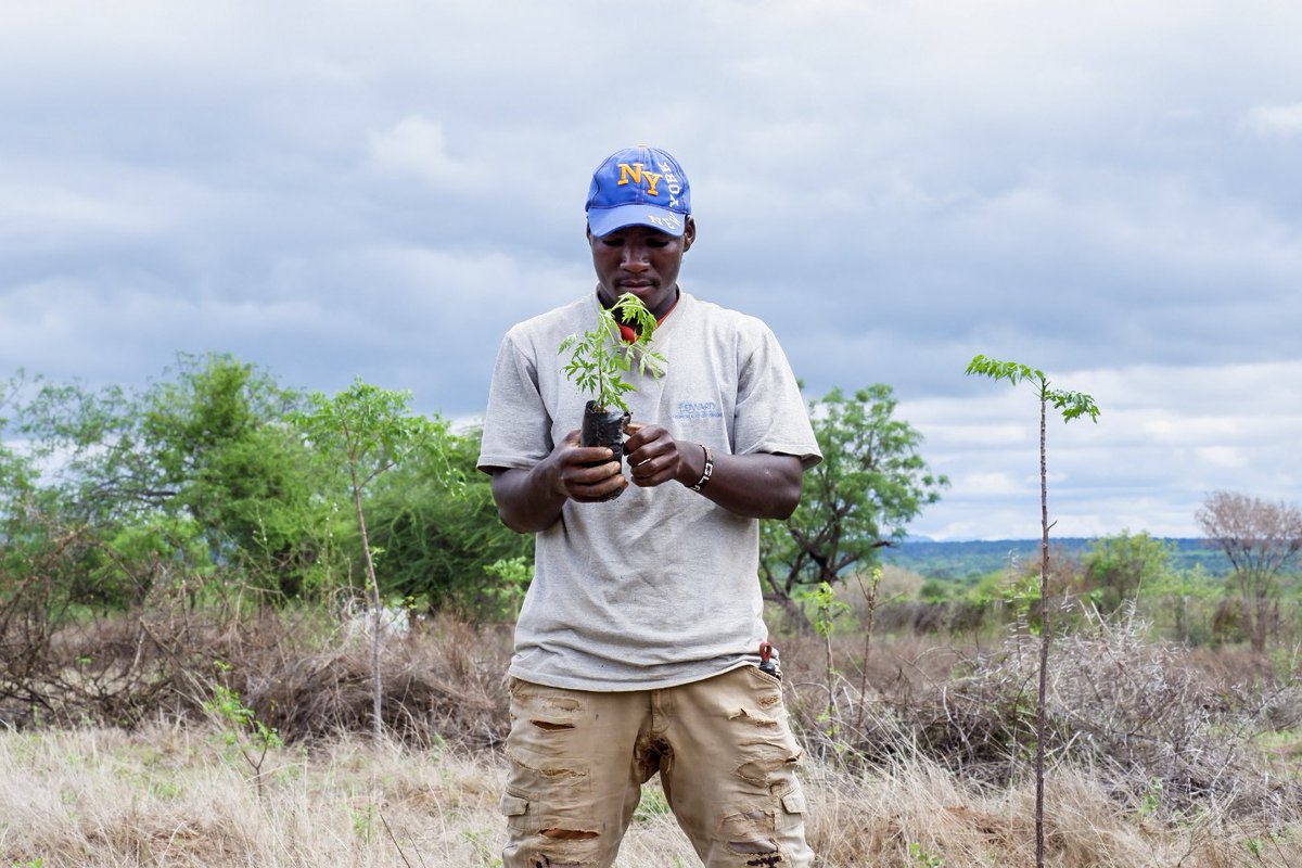 One of our partner farmers who is transforming his land from monoculture rainfed agriculture to a more diverse agroforestry system.