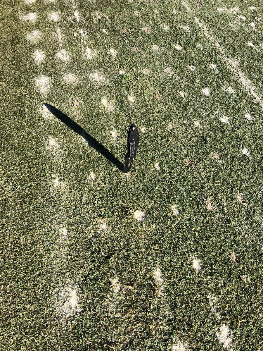 cliffwstewart's tweet photo. #WinterSandSummit #WETJECT #BulkSand Bulls Bay Golf Club - Charleston, SC @STECEquip @VGR_equipment @life_turf @BCSTEC9 @turffboy67 @turffboy67 🚜🎄🎁 #Santahassomecooltoys #Notabusiness #OwnIt #ShowStopper https://t.co/vSsEvaeLny