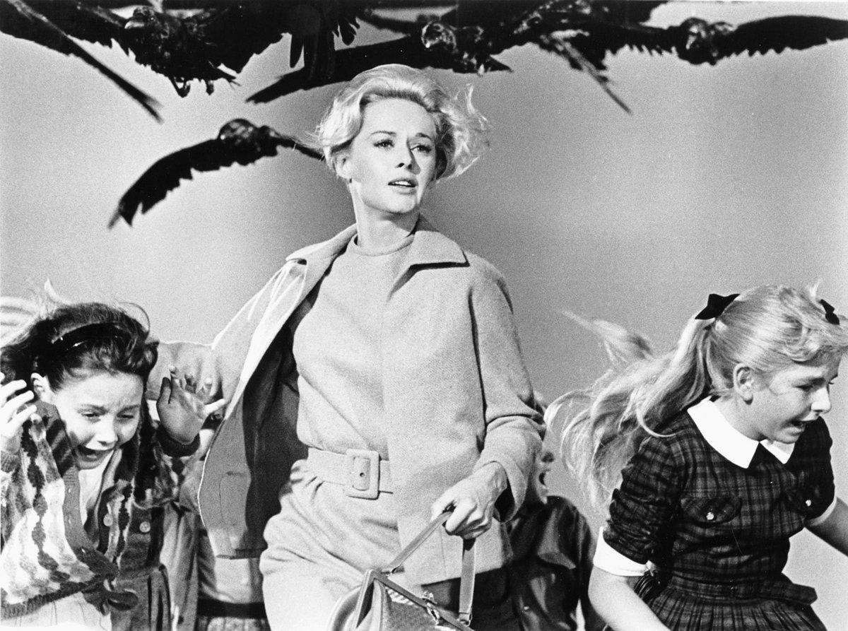 Scene from Hitchcock's Birds
