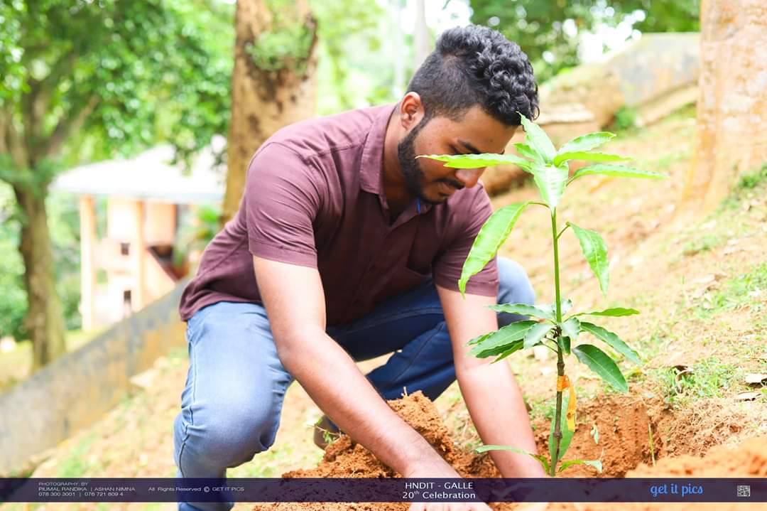 HeshanNadun's tweet photo. 🌳මගෙන් ගසක් මව් දෙරණට🌱#HNDIT https://t.co/eKfcoH6ptu