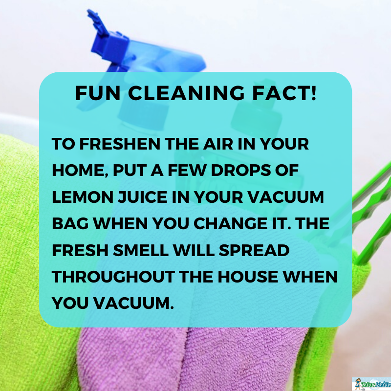 value_maids's tweet photo. To freshen the air in your home, put a few drops of lemon juice in your vacuum bag when you change it. The fresh smell will spread throughout the house when you vacuum. Check out more fun home cleaning facts here: https://t.co/05oQ57FuGF
#cleaningfacts #funfacts #homecleaning https://t.co/S6QbYQY1co