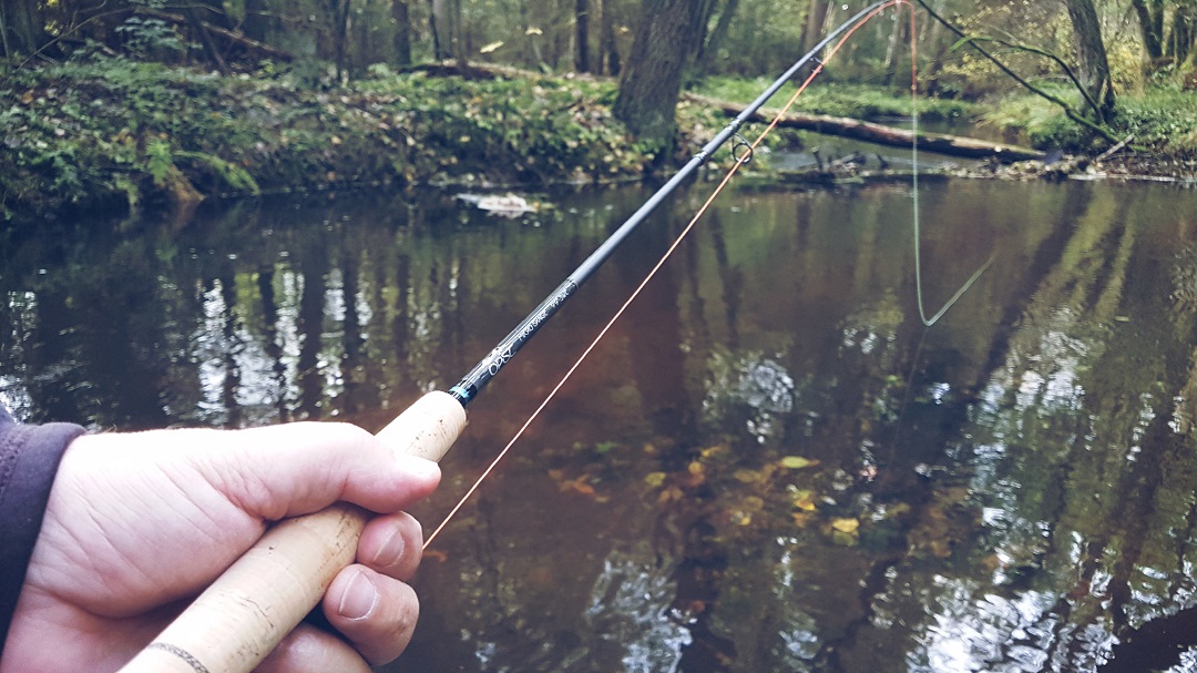 We were targeting the big trout and were swinging streamers size #6. WOW, we hooked up with 4-5 35cm+ wild brownies. We rigged the OPST Micro Skagit Rod 9'9 #3 with an OPST Smooth line 150gr, OPST Micro Tip 5'0" S2. Great fun tackle to swing a fly after your local resident.