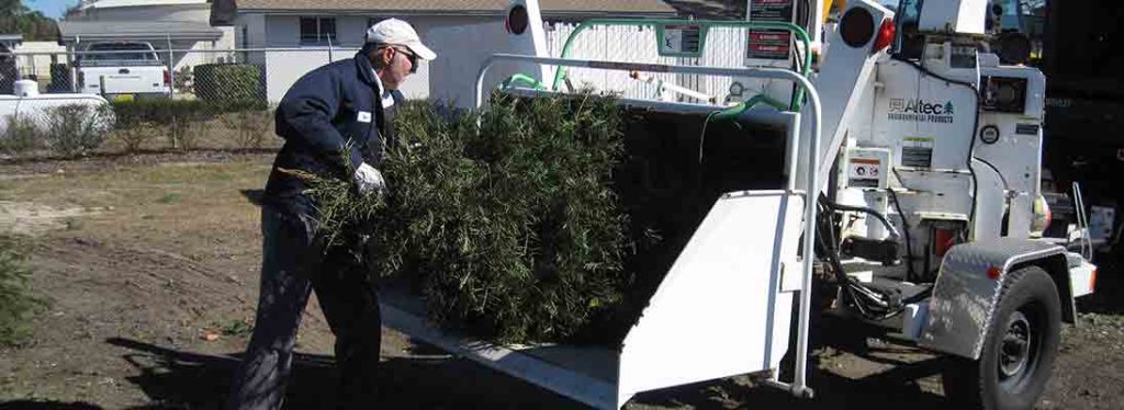 Christmas Tree Rycylcing flaglerschoolsobserver.wordpress.com/2019/12/19/chr…