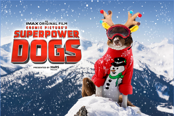 CincyMuseum's tweet photo. 🐾☃️Santa Paws is coming to town! Check out the super pups of @SuperpowerDogs during your holiday break: https://t.co/AmHeH6MoNy! Happy HOWLidays! #SuperpowerDogs #SuperpowerDogsCMC https://t.co/EcAx9aI252