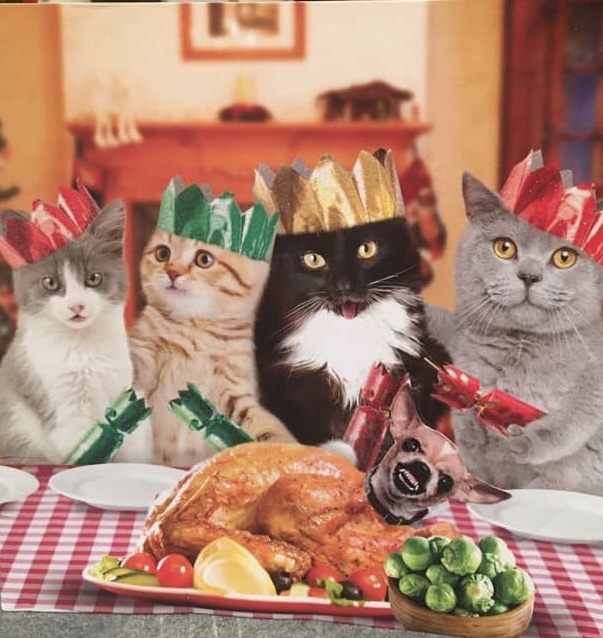 ConnaughtJobs's tweet photo. Merry Christmas from all the team at Connaught Education! https://t.co/JxhY3gHhrv