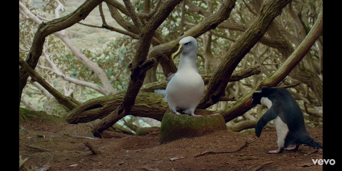 lookmewithwrath's tweet photo. Soy el pingüino rechazado por los bellos albatros... 
#AssumeForm https://t.co/eknwvJmpTK