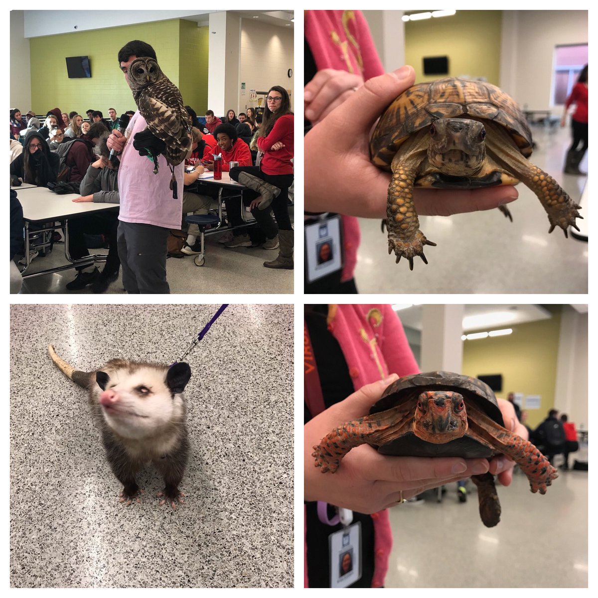 AFHSannounce's tweet image. Wildlife in the house!! Great day to be a Patriot.