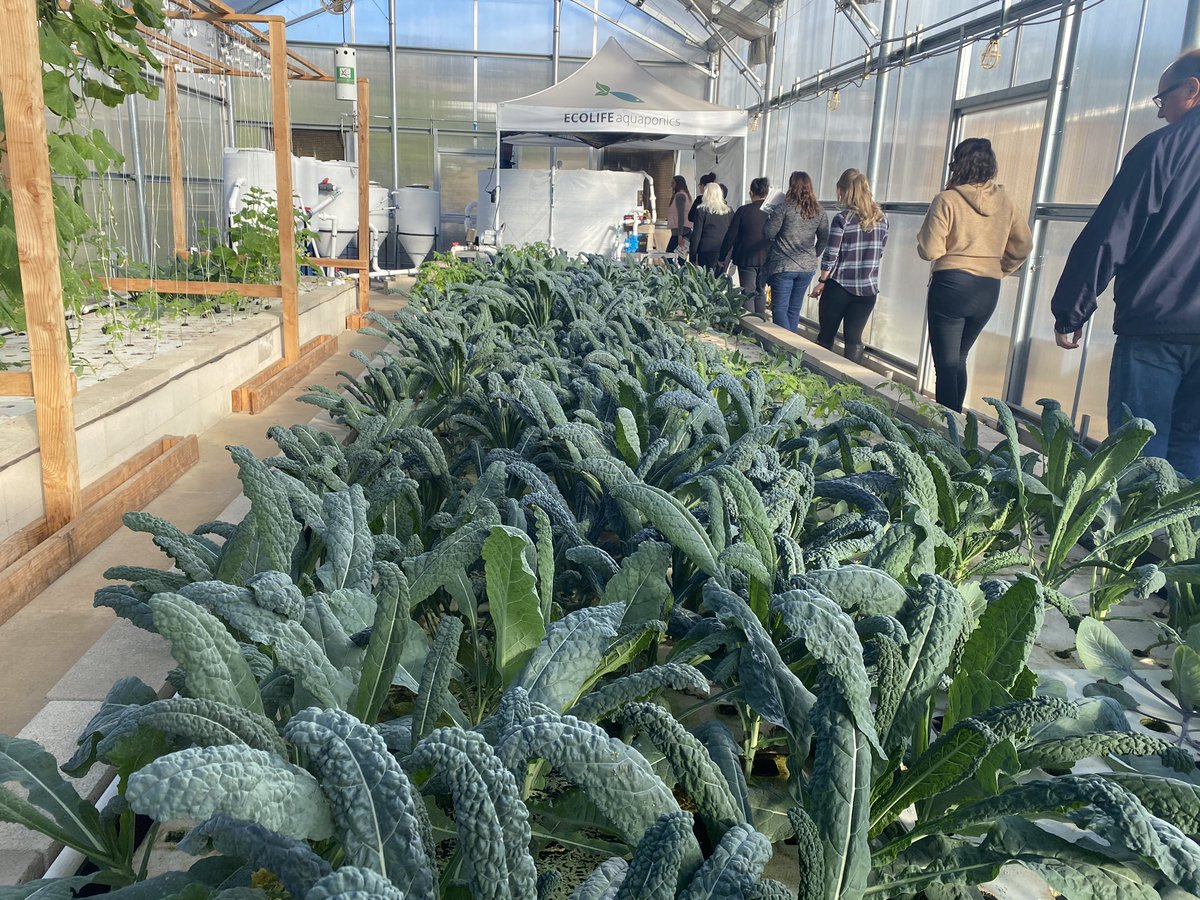 krystlemmiller's tweet photo. Enjoying the Aquaponics Innovation Center with teachers and our Nutrition Department. @ECO_LIFE @C_Ray13 @EUSD #weloveaquaponics #sustainable #cangss #thisisEUSD https://t.co/kuLO9j0IiT