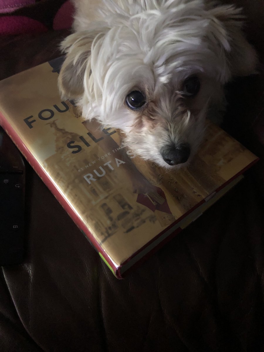 AnneDoyle2's tweet photo. Luna’s getting upset that I’m spending all day reading Fountains of Silence. Incredible book! @RutaSepetys https://t.co/pxFYT4j6oR