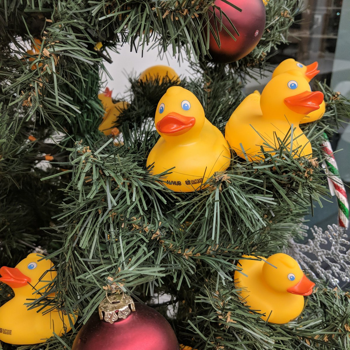 TheAIHub's tweet photo. Our #debuggingduck will be off on many adventures across the holidays :) ...keep it here to enjoy the journey... #holidaycountdown t minus not too many sleeps :) https://t.co/28TXs4cbb6