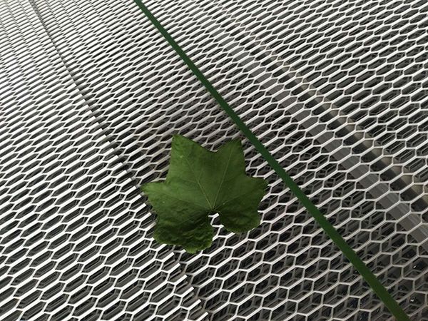 SourceWireMesh's tweet image. Hexagonal Aluminum Expanded Metal Mesh

Materials: stainless steel, aluminum, nickel, carbon steel, copper.
Surface treatment: galvanized, PVC coated, hot dip, powder coated, anodized.
Thickness: 0.5 mm – 8 mm.
Width: 600mm – 2400 mm.
width: 2.5 mm – 50 mm.
length: 4.5mm – 100 mm