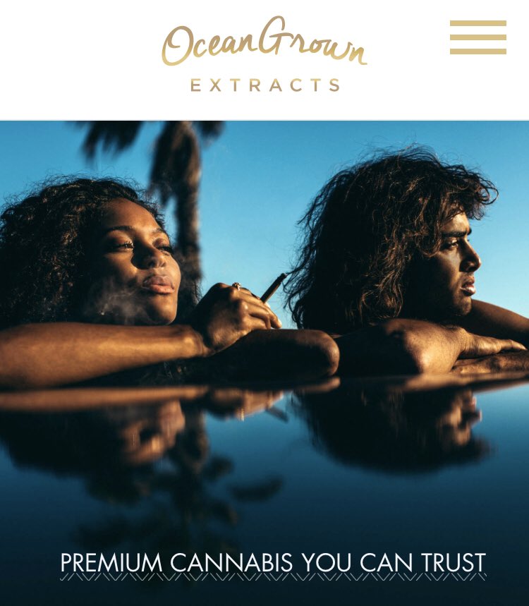 OGextracts's tweet image. Hey #CannabisCommunity! Check out our FRESH new website for all things #OGE! Visit oceangrownextracts.com to learn about our products, view lab results, check out the event calendar, find a shop near you &amp;amp; stay connected with us. ⁣⁣⁣⁣
#OceanGrownExtracts #CannabisYouCanTrust