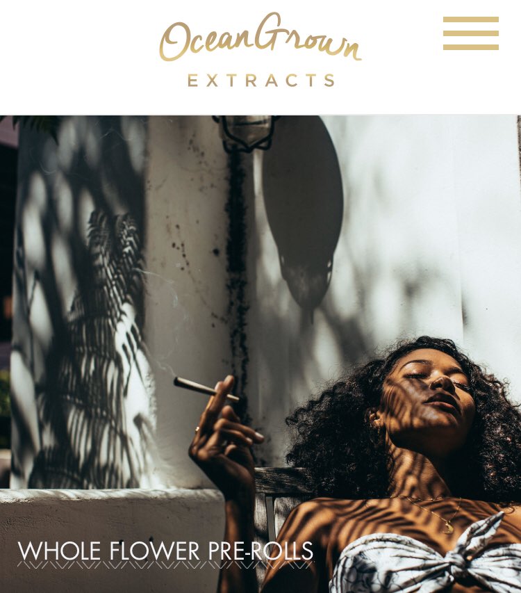 OGextracts's tweet image. Hey #CannabisCommunity! Check out our FRESH new website for all things #OGE! Visit oceangrownextracts.com to learn about our products, view lab results, check out the event calendar, find a shop near you &amp;amp; stay connected with us. ⁣⁣⁣⁣
#OceanGrownExtracts #CannabisYouCanTrust