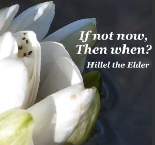 PERfectGift2019's tweet photo. With the #holidays approaching, the new year is not far after. Get help planning for the future, while helping support emergency research at #sickkids, with an Estate Planning Consultation donated to our online #charity auction by West Hill Law. https://t.co/Qlo1PZYFzK https://t.co/AddrOotPbu