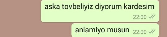 genelde bunu dedikten 10 saniye sonra asik oluyorum