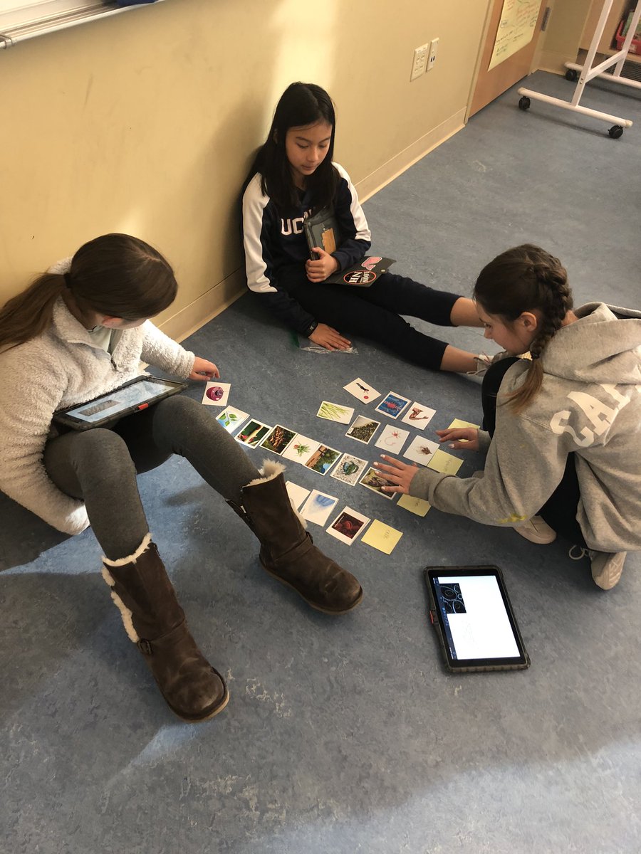 Starting to explore cells on 6 Silver!