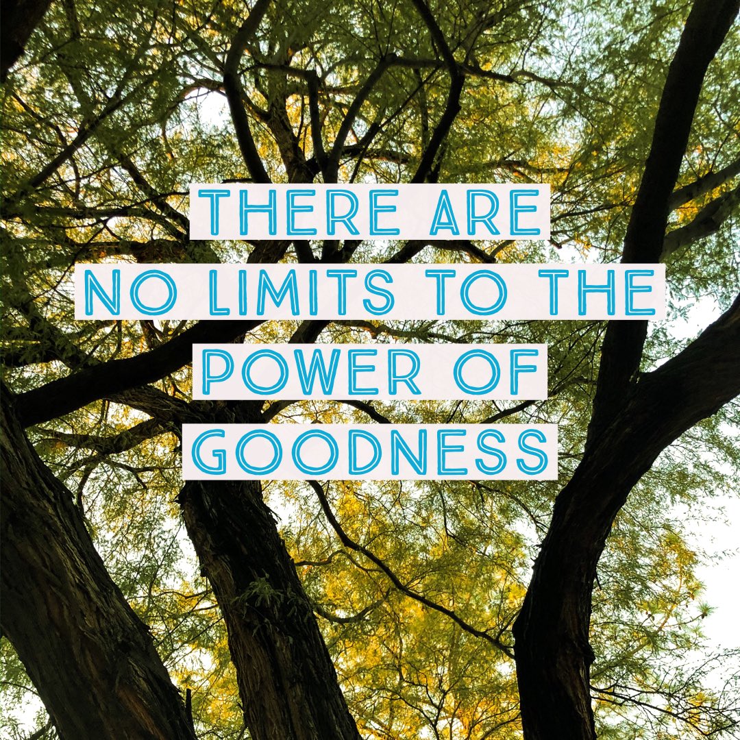 Goodness_Unltd's tweet photo. With positive thoughts, words, and action there are no limits to the greatness we can achieve! This is our world, this is our life, this is our time! Let’s live each day intentionally, with purpose, meaning, and goodness! 
#KindnessAtChristmas #arizonafamily #joy https://t.co/VR9huvKBMy