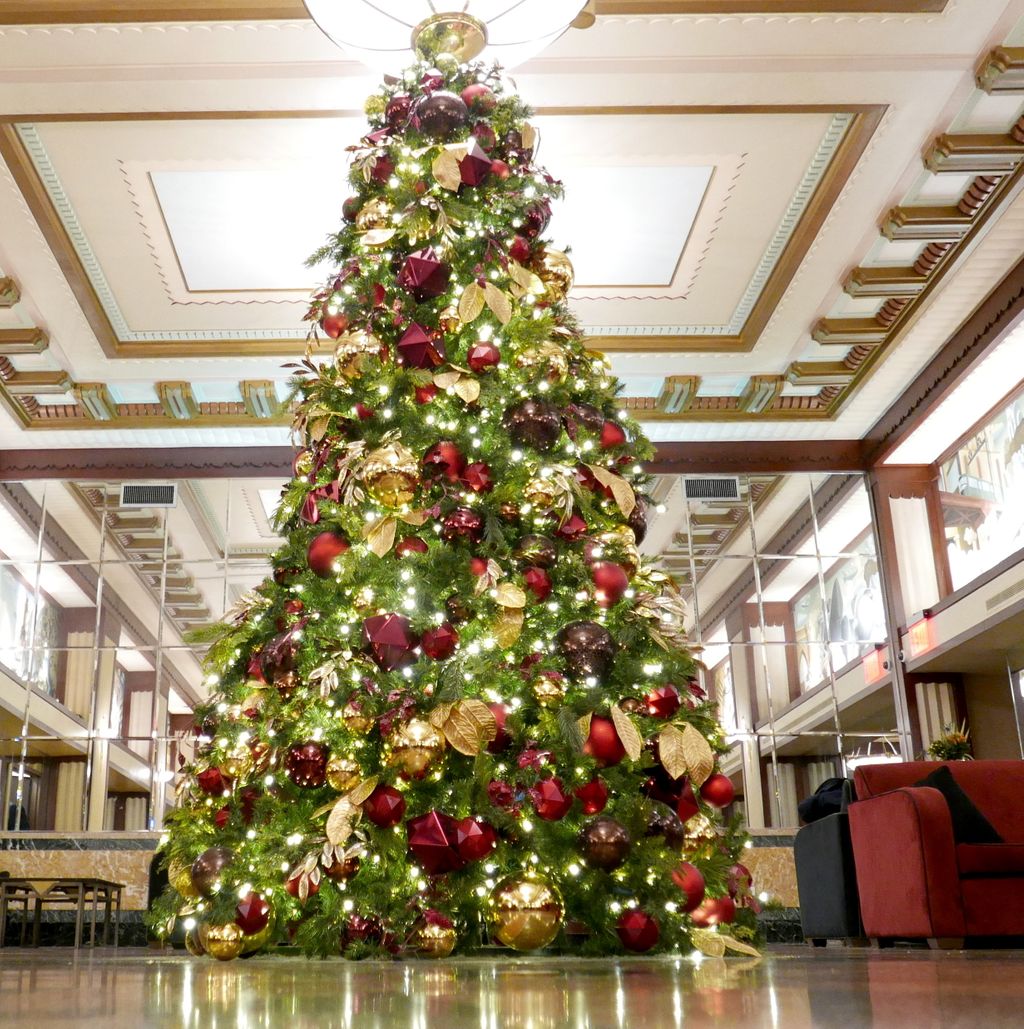 TriumphHotels's tweet photo. #TBT to last year’s tree display in the lobby @HotelEdison. Have you seen our tree this year? #triumphhotels #hoteledison #newyork #nyhotels #nyc #ny #hotel #timessquare #broadway #edisonhotel https://t.co/0WupuK2VDT