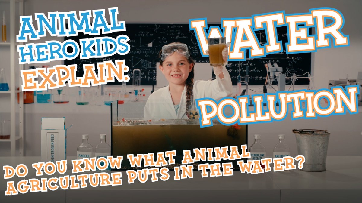 AnimalHeroKids's tweet photo. #AnimalHeroKids Explain: Water Pollution. 
Do you know what animal agriculture puts in the water?

Video Here 👇👇
https://t.co/ilLy2OGPkI

Video by @1mDollarVegan 
Need Help Going Vegan https://t.co/0zmAgbHJaj

#Kind2All #Educate2Liberate #Vegan #WaterPollution  #Govegan https://t.co/hBGijVAqm1