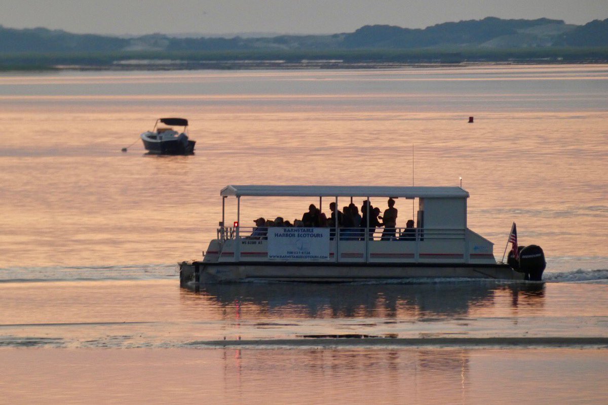 CapeCodEcotours's tweet photo. Very pleased to let everyone know that Barnstable Harbor Ecotours has won the Best of Barnstable award in the Boat Tour Agency category.  A great way to close out 2019.  Awesome!!! https://t.co/wZcQYTQYWf