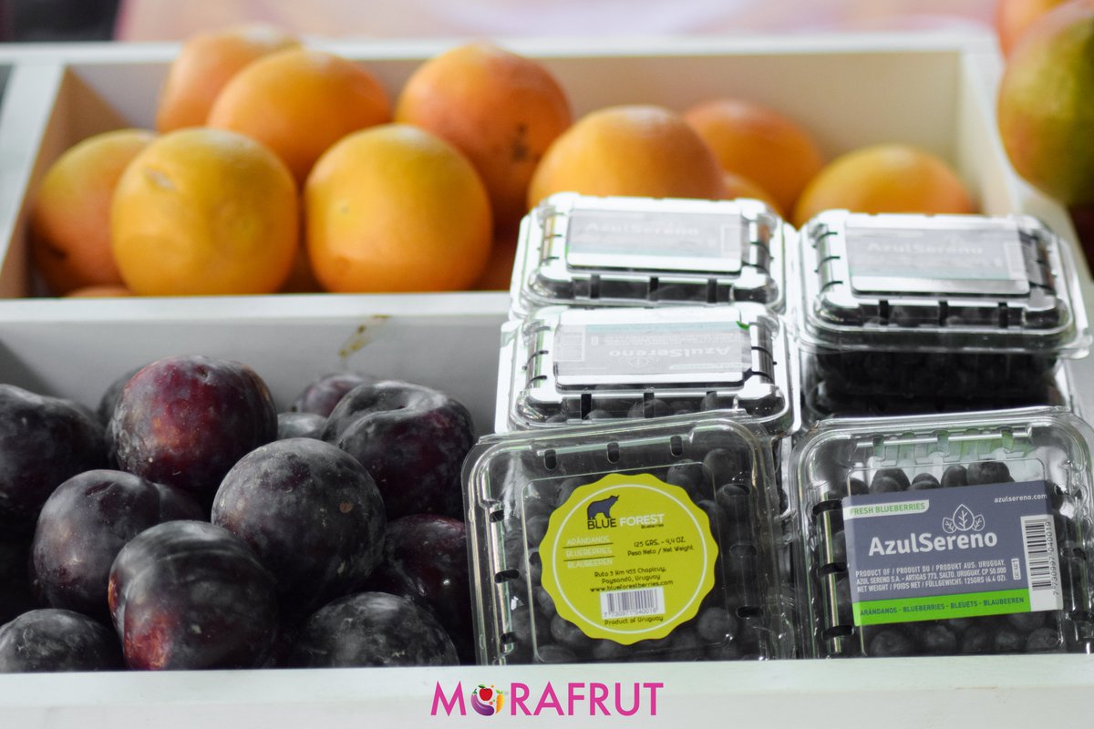 mujermujeruy's tweet photo. Si querés hacerte la mejor ensalada de frutas en este día de calor pasá por Mora Frut! Las frutas son deliciosas y todas las semanas tienen ofertas que las hacen muy convenientes.
📍 Avenida Brasil 2838 Esquina Santiago Vázquez
☎ 27095977-092335673
📩 morafrutpocitos@gmail.com https://t.co/wQQcqzxh38