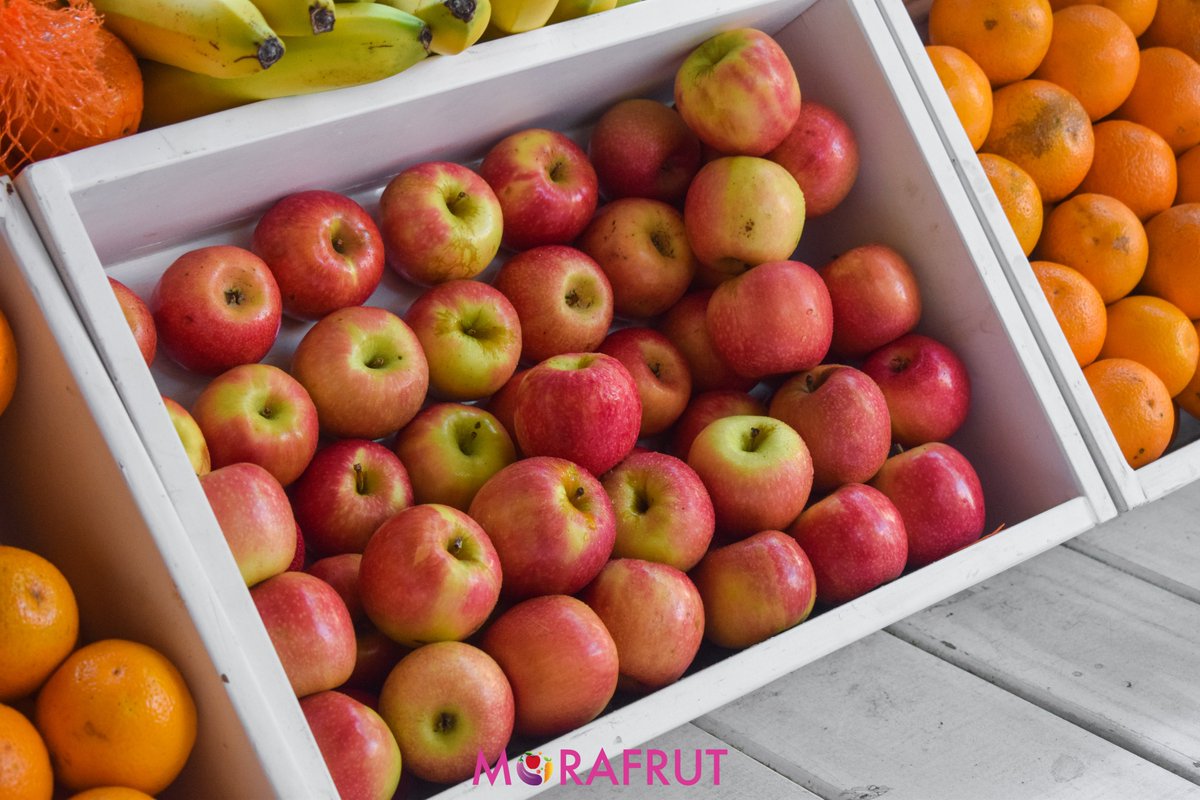 Si querés hacerte la mejor ensalada de frutas en este día de calor pasá por Mora Frut! Las frutas son deliciosas y todas las semanas tienen ofertas que las hacen muy convenientes.
📍 Avenida Brasil 2838 Esquina Santiago Vázquez
☎ 27095977-092335673
📩 morafrutpocitos@gmail.com