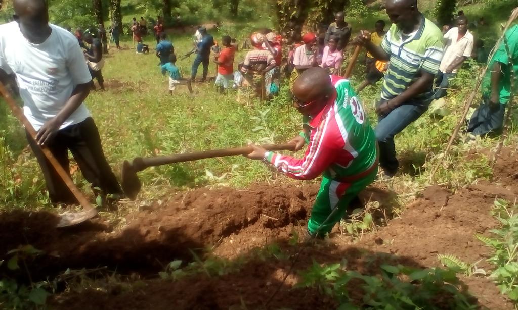 NiyongereEliac2's tweet photo. #Burundi,kuri uyu wa 19/12/2019,Buramatari wa @BubanzaProvince @IrNobus yifadikanije n'abenegihugu bo muri komine ya #Musigati,mubikorwa rusangi vyoguca imikobeko k'umutumba wa #Kayange muri wamugambi w'Igihugu#EWE BURUNDI URAMBAYE. https://t.co/qxQIqKyk14