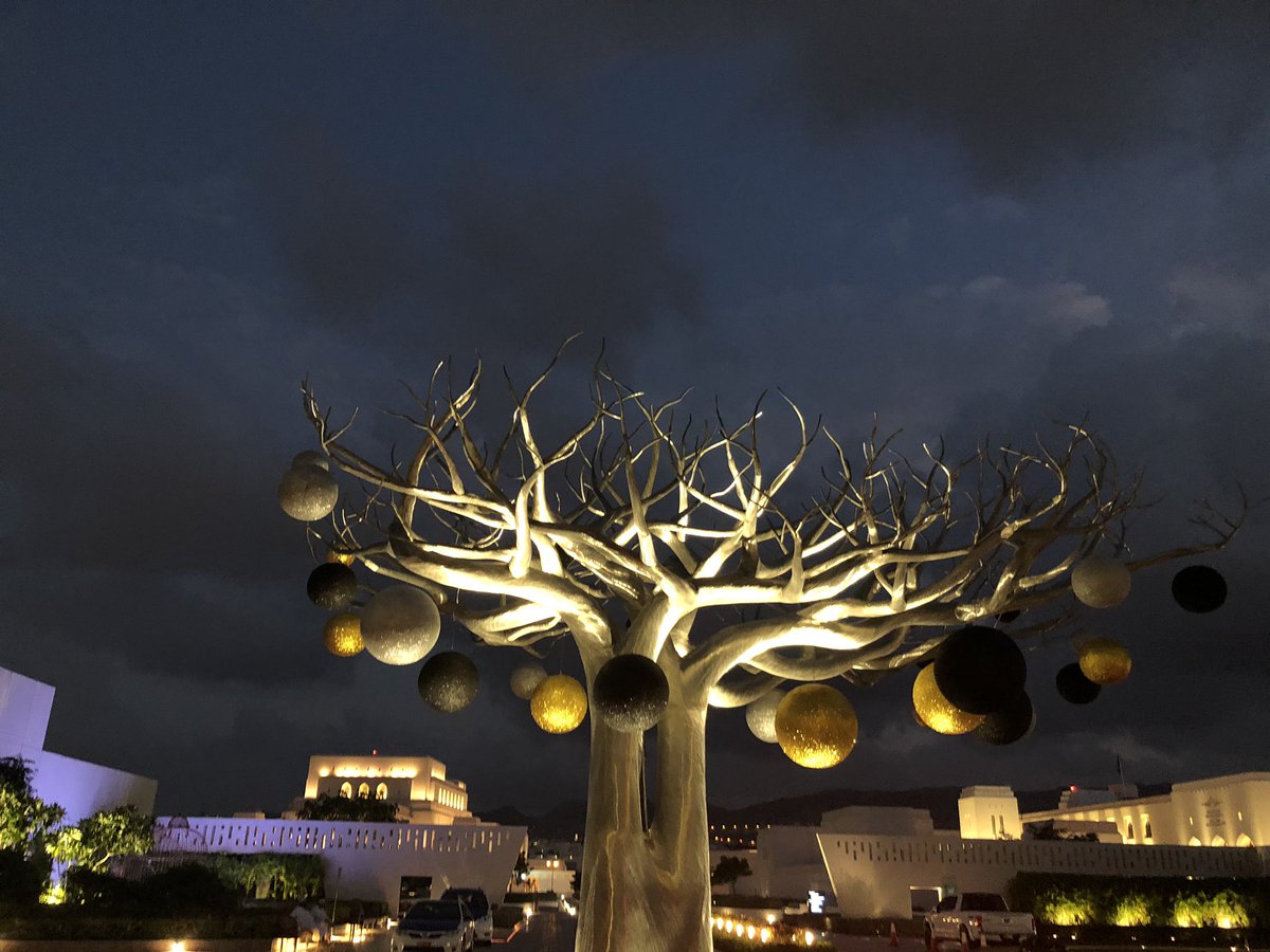 MartinsonUk's tweet photo. #beautifulmuscat https://t.co/rMnyltJoYF