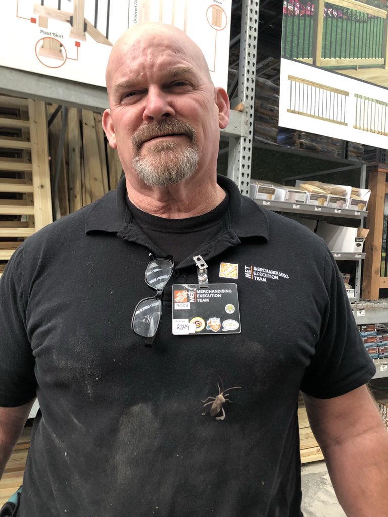 Robin62201955's tweet photo. Can’t say ol’Boss won’t get dirty on the job!
@BleechRoss @J_DavidsonHD @HiottBambie @JaySFuller1 @pepper_hiott @jeff_meitz https://t.co/5SgvOkVFw3