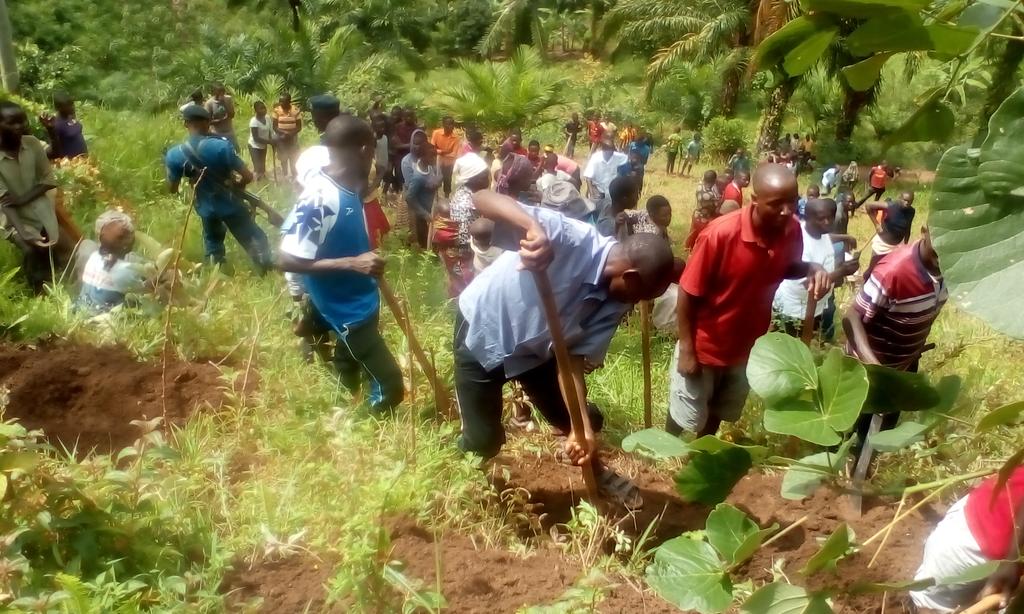 NiyongereEliac2's tweet photo. #Burundi,kuri uyu wa 19/12/2019,Buramatari wa @BubanzaProvince @IrNobus yifadikanije n'abenegihugu bo muri komine ya #Musigati,mubikorwa rusangi vyoguca imikobeko k'umutumba wa #Kayange muri wamugambi w'Igihugu#EWE BURUNDI URAMBAYE. https://t.co/qxQIqKyk14
