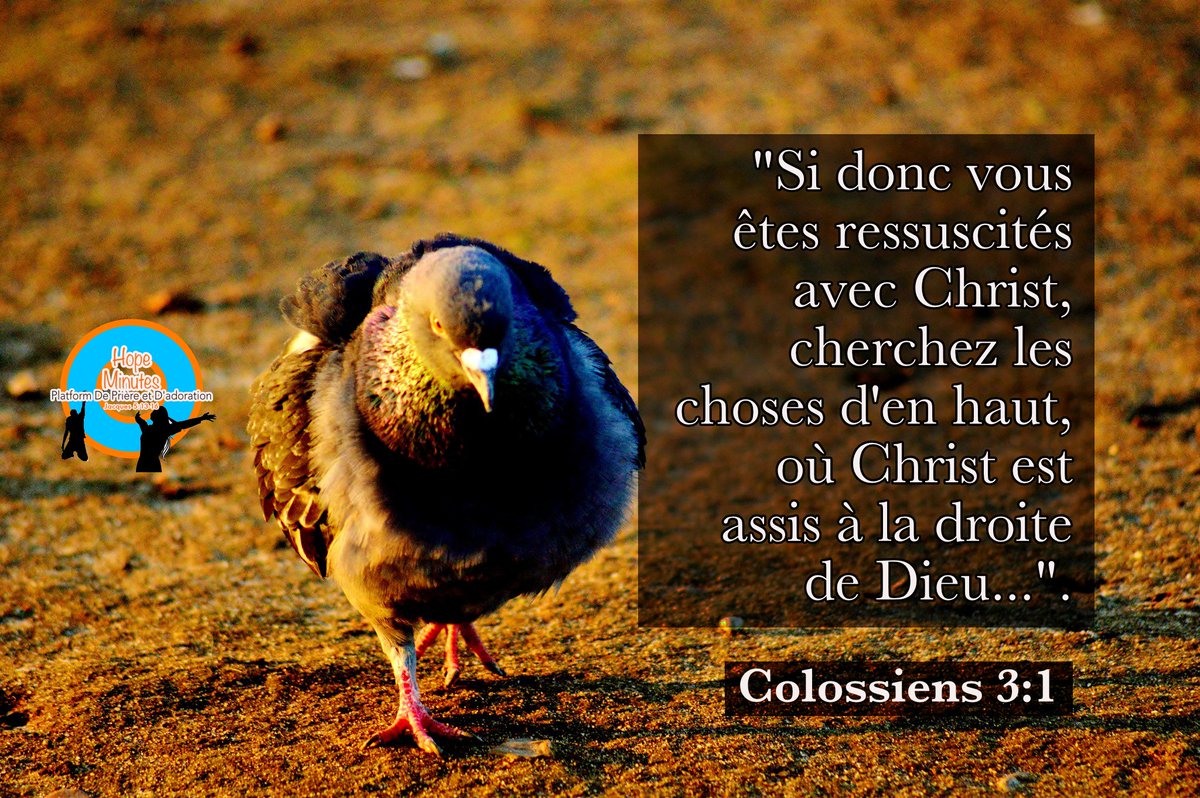 HopeMinutes's tweet photo. Verset du jour - Colossiens 3:1 - Nous avons besoin des choses d'en haut oΓΉ notre seigneur est pour vivre sa gloire... #Versetdujour #Paroledujour #parole #Paroledefoi #Parolededieu #JesusIsKing #JesusIsLord #Jesusestroi #Momentdepriere #hope https://t.co/mqaKrzJfBX