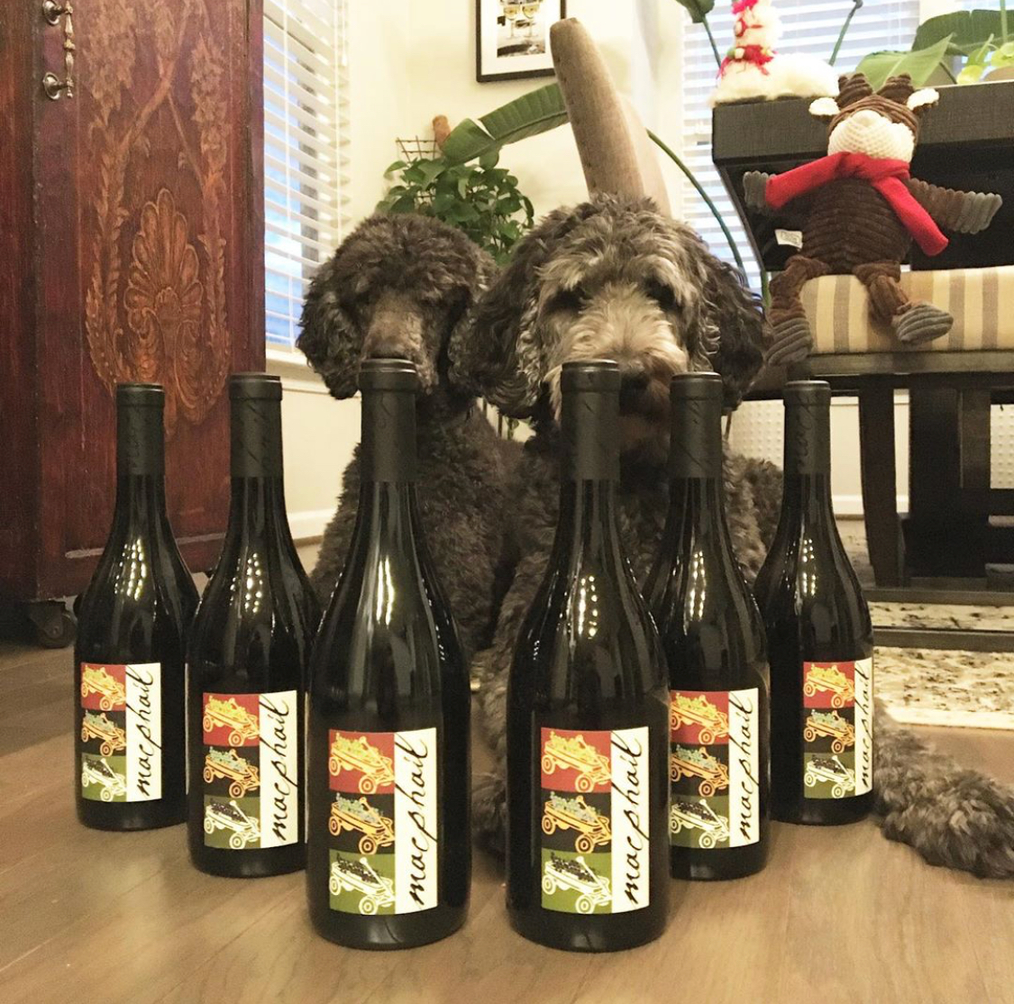 MacPhail Wines tweet media