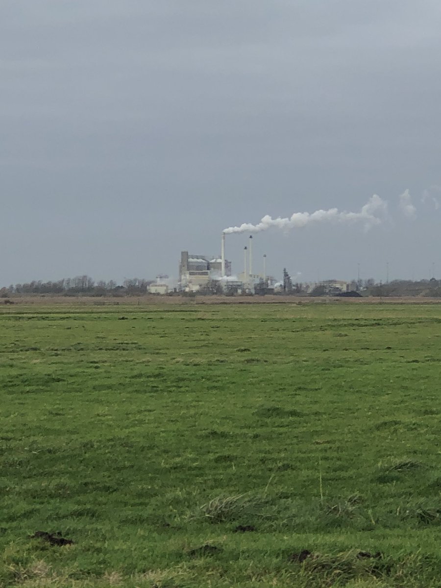 Grey day at Cantley today but at least it wasn’t raining.