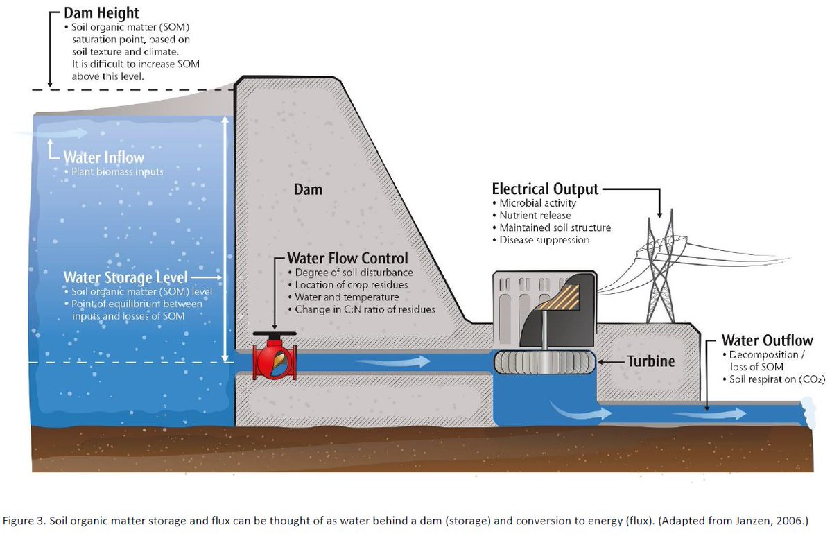 Understanding and Measuring Organic Matter in Soil.
A new WSU Extension publication from my colleague Doug Collins and me. 
Below, soil organic matter dynamics as hydropower. 
pubs.extension.wsu.edu/understanding-…
