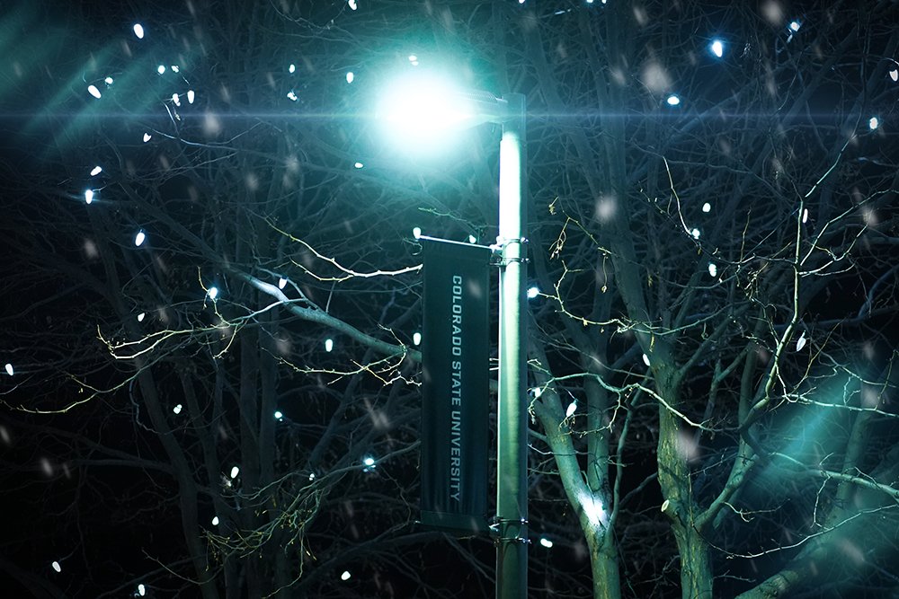 ColoradoStateU's tweet photo. Finals are over. All is calm, all is bright ✨ https://t.co/6TNpDDdYee