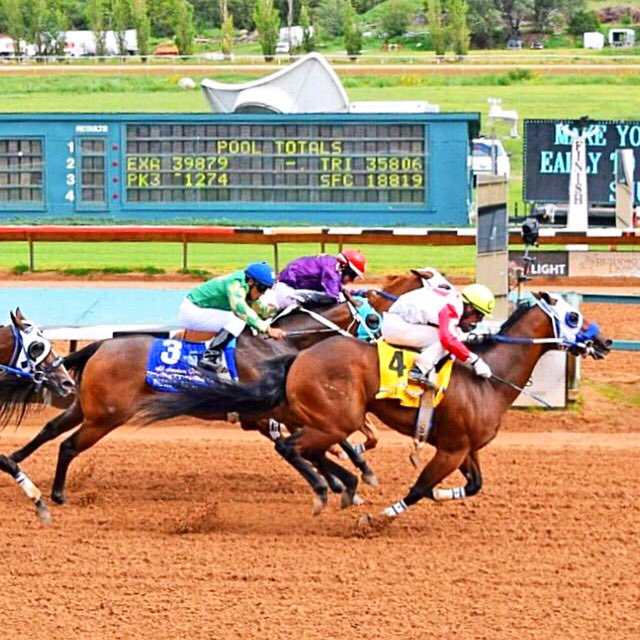 RuidosoDowns's tweet photo. #ThrowbackThursday- The 2018 #AllAmericanDerby winner was Hotstepper, with jockey @qhpilot (Cody Jensen). 🏇 Cody retired this past week, with more than 1,600 career wins and three AQHA Champion Jockey titles, not to mention winning the #AllAmericanFuturity and more. Congrats! https://t.co/3hk4UhpJTL
