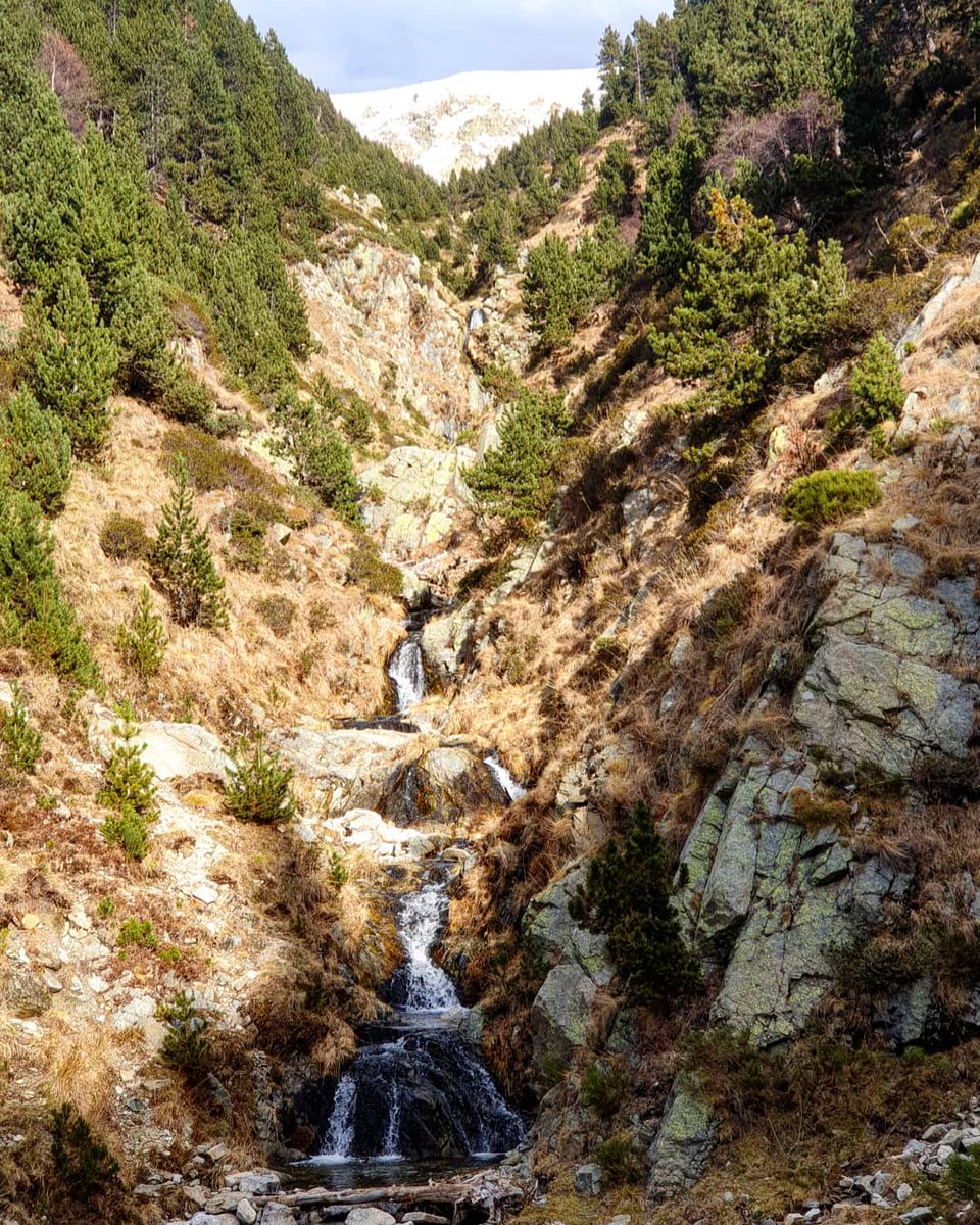 ricardrigall's tweet photo. El torrent de Coma Ermada, prop de Vallter. #comaermada #vallter #setcases #ripollès #bicicleta #btt #mtb #tardor2019 https://t.co/X3PvB95Gmb