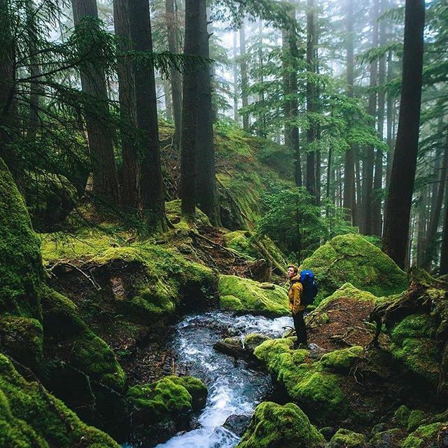 Sadece hayal et 🌲🌲🌲 Just imagine .
📷 @bushcraftshelter .
#Aktivido
#SıradakiMaceranıSeç #HayatınaRenkKat #ChooseYourNextAdventure #ColorYourLife #Doğa #DoğaYürüyüşü #Trekking #Hiking #outdoor #camping #woodsman #wilderness #keepnaturewithourhand ift.tt/2PDHiPF