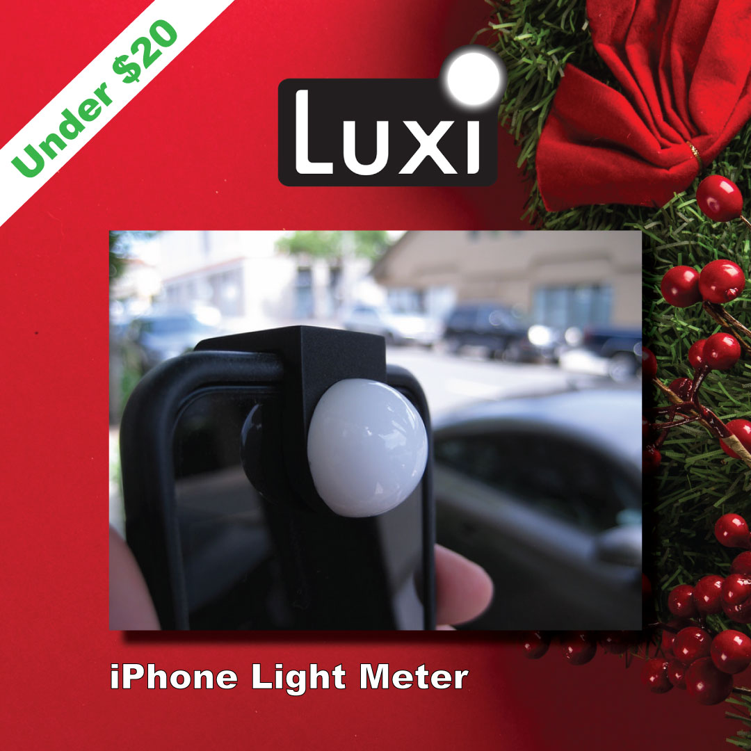 Luxi tweet media