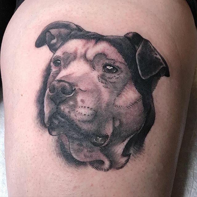 Mama #chonker #derpydog 
#dog #dogtattoo #dogportrait #blackandgreytattoo #traditionaltattoo #tattoo #savedtattoo #virginiaelwood ift.tt/38PMtDX