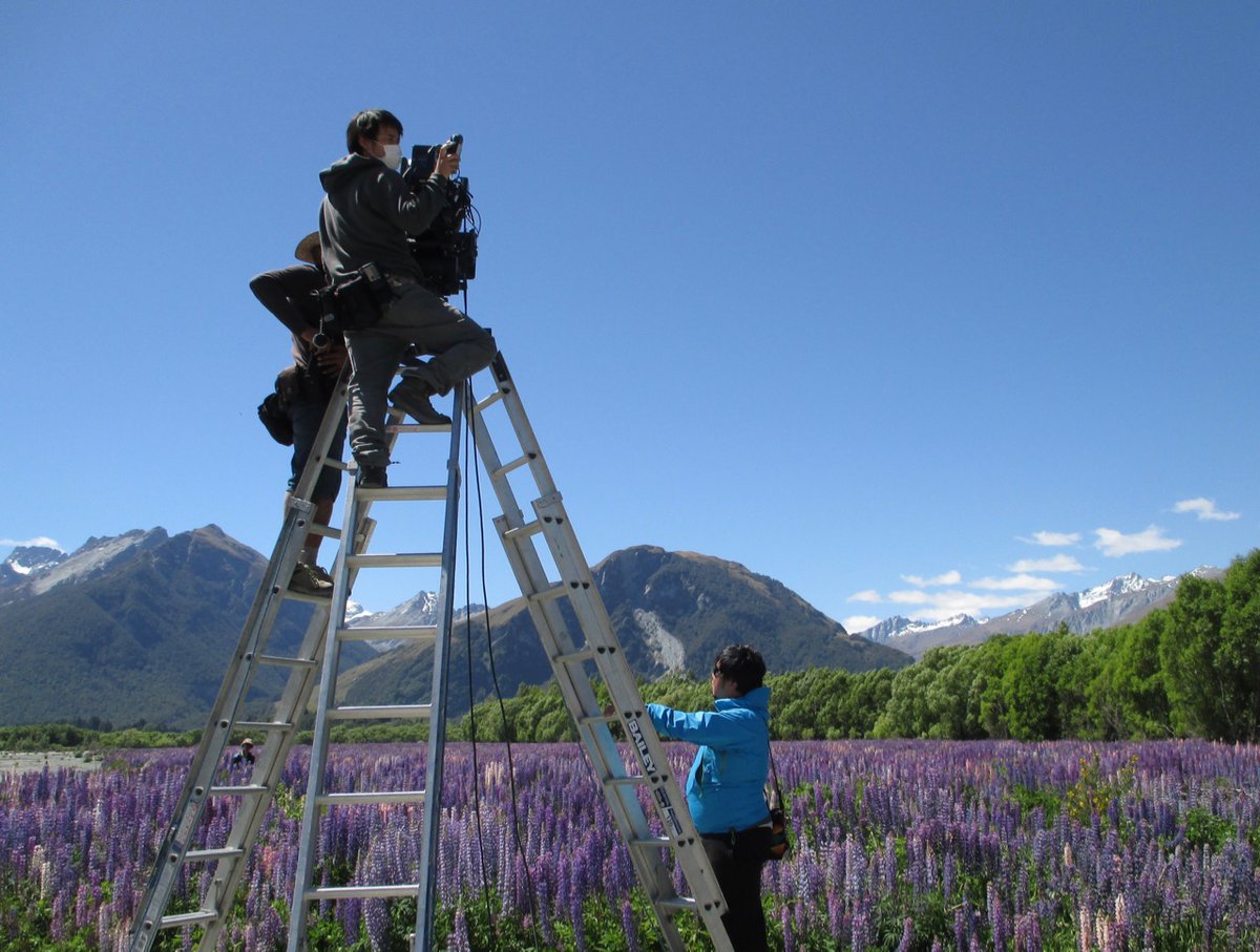 Film Queenstown (filmqueenstown) Twitter