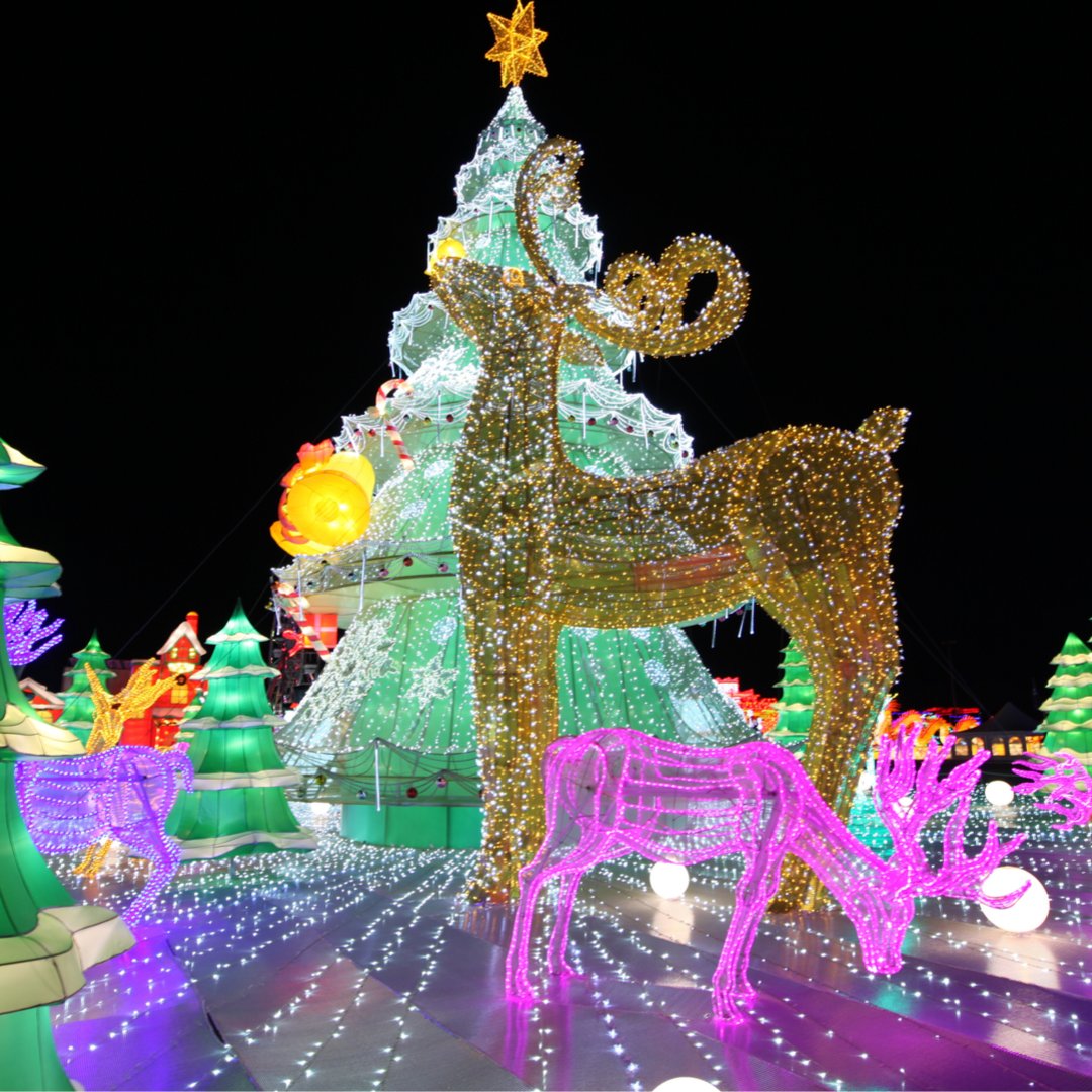 MWLHouston's tweet photo. Oh deer! Christmas is almost here! How have you celebrated the holiday season? 🦌🎄

Get in the holiday spirit and buy tickets at https://t.co/uR5dT623K9

#magicalwinterlights #5yearsofmagicalwinterlights #houstonfestival #holidaysinhouston #galvestonfestival https://t.co/nDvStDRjaJ